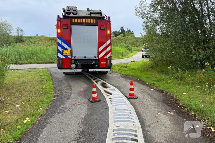 Jonge zwaan gered en herenigd met moeder