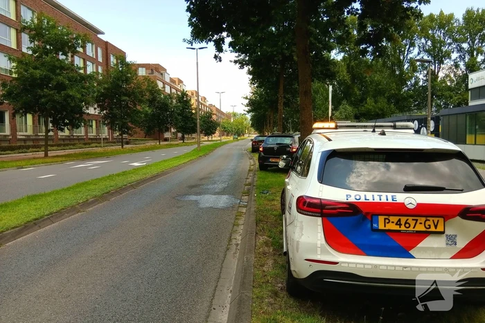 Kop-staartbotsing in de middag