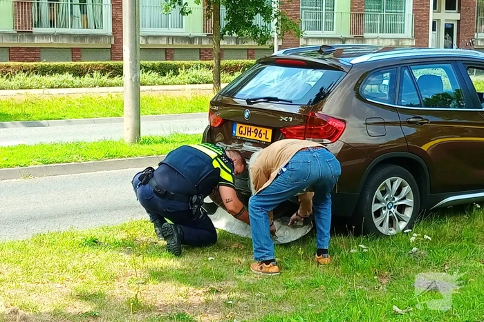 Kop-staartbotsing in de middag