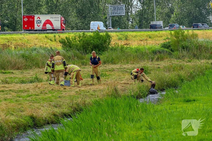Brandweer redt pony uit moddersloot