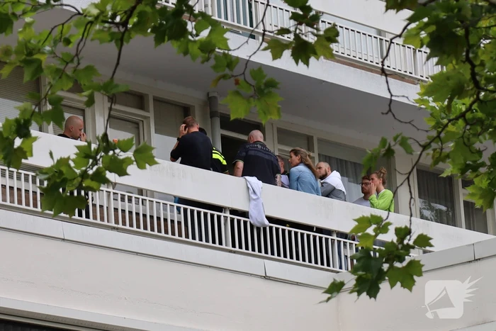 Drie aanhoudingen na verdachte vondst