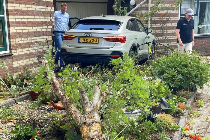 Voertuig ramt boom en huis