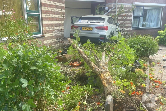 Voertuig ramt boom en huis