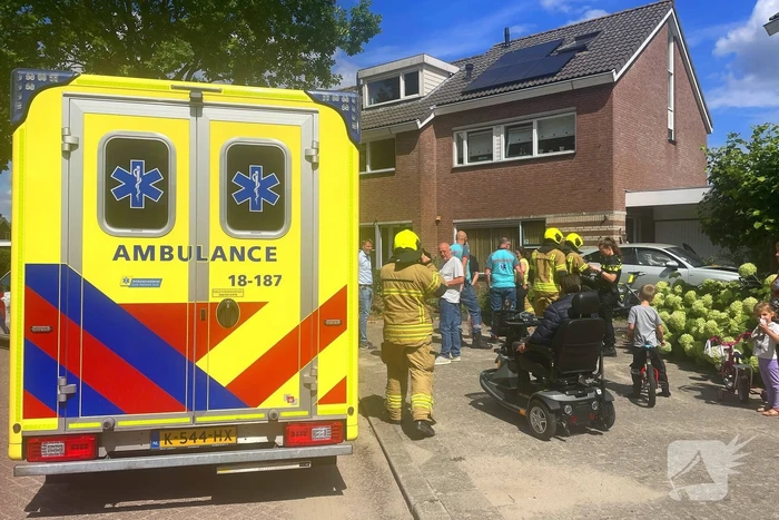 Voertuig ramt boom en huis