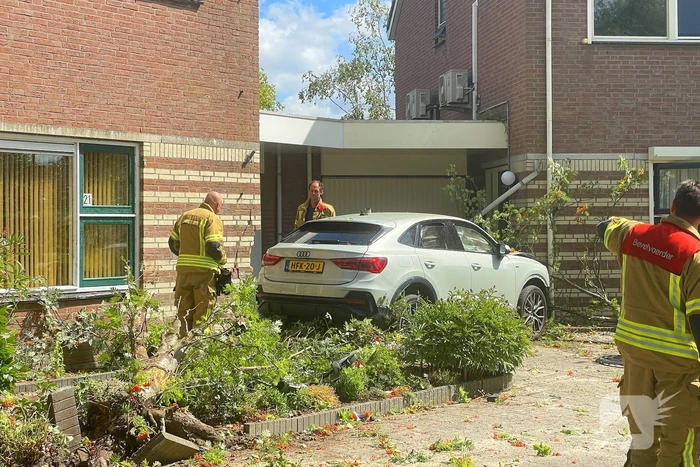 Voertuig ramt boom en huis
