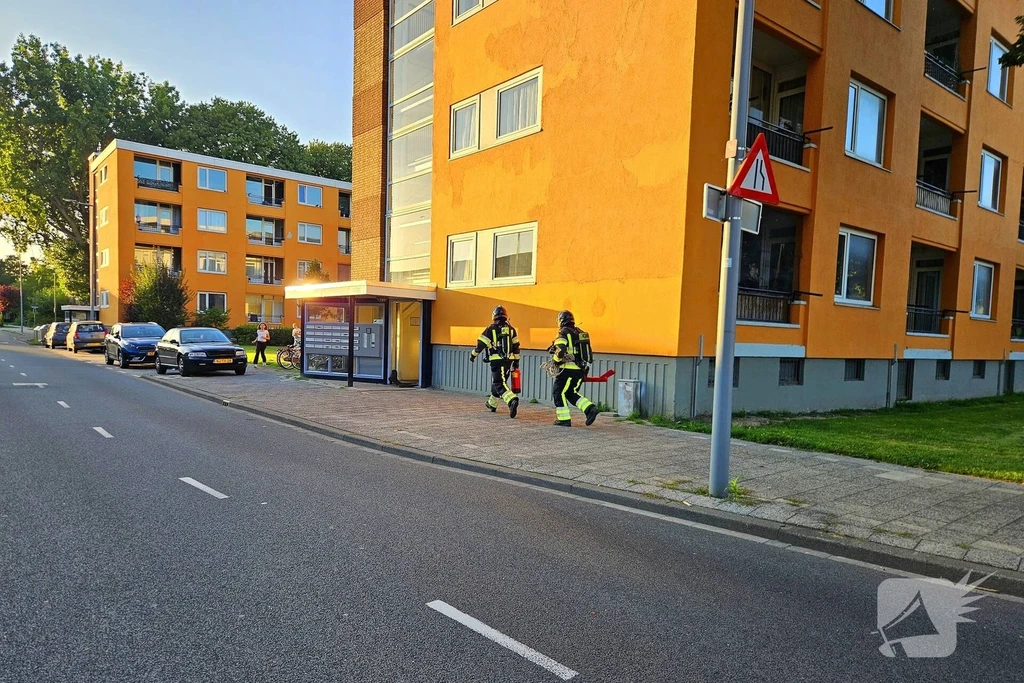 Horsweg Nieuws Hoogvliet Rotterdam 