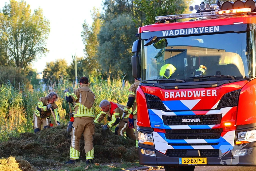 Coenecoop 112 meldingen Waddinxveen 