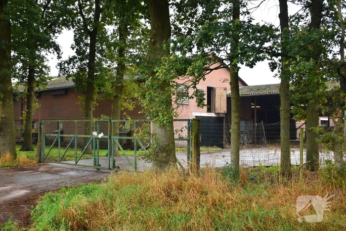 Zeer grote uitslaande brand in loods