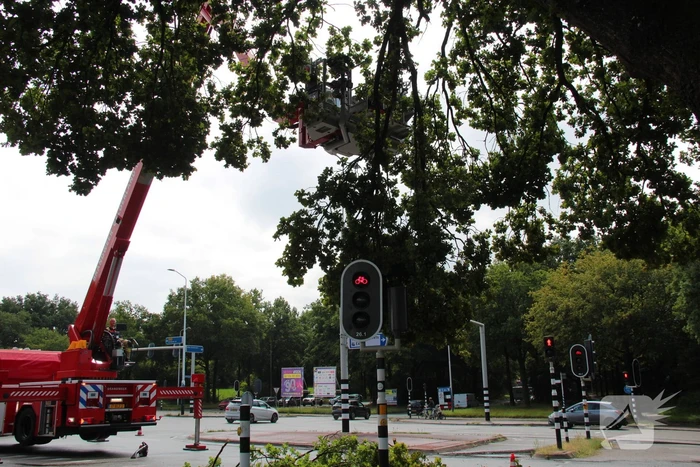 Provinciale weg deels afgesloten door stormschade