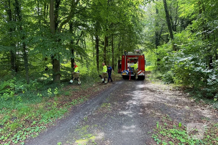 Buitenbrand door snoeiafval snel geblust