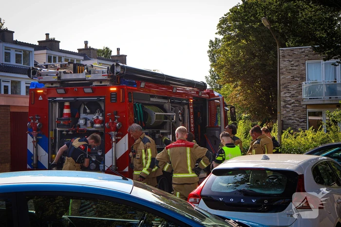 brand van polanenpark wassenaar