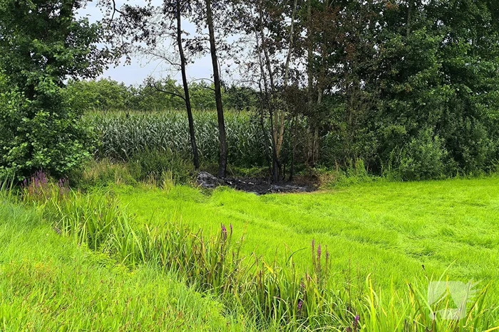 Vuur in berm snel onder controle