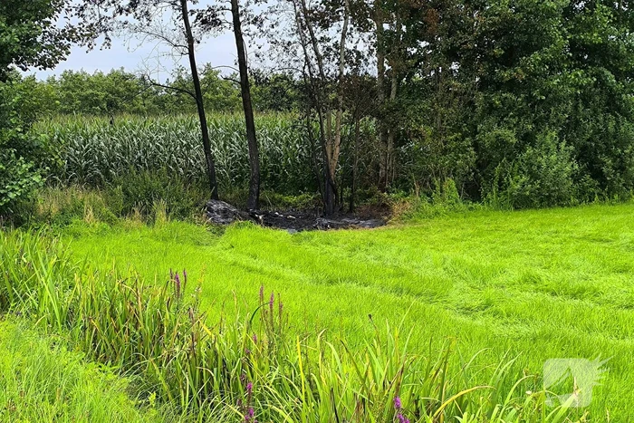 Vuur in berm snel onder controle