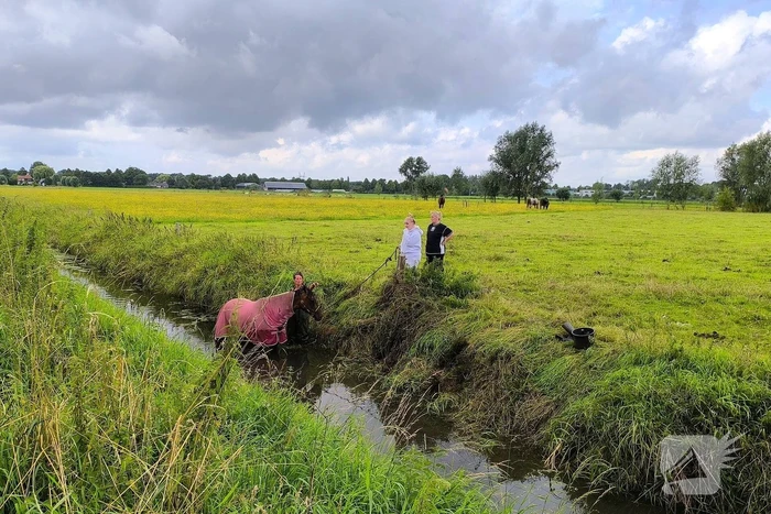 Brandweer redt dier uit benarde situatie