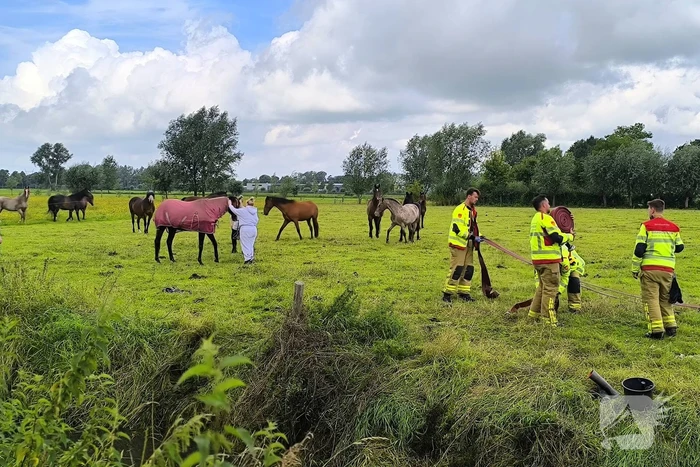 Brandweer redt dier uit benarde situatie