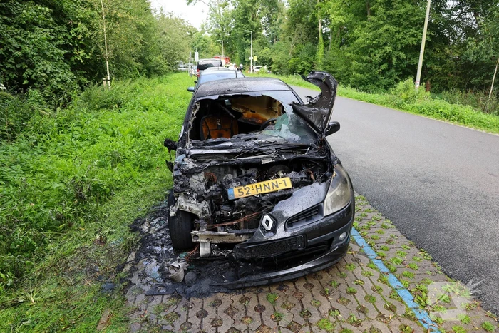 Auto total loss door brand