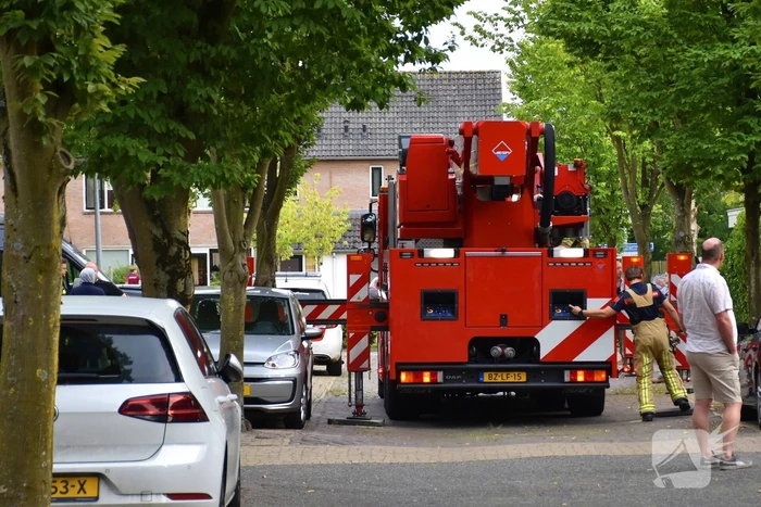 Brandweer redt kat uit boom