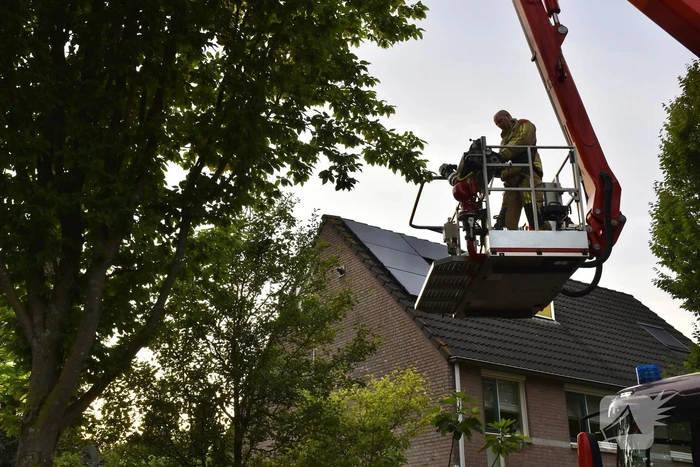 Brandweer redt kat uit boom