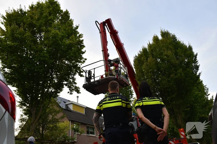 Brandweer redt kat uit boom