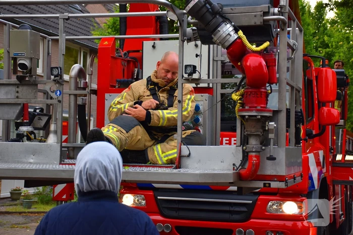 Brandweer redt kat uit boom
