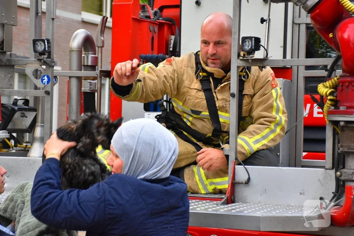 Brandweer redt kat uit boom