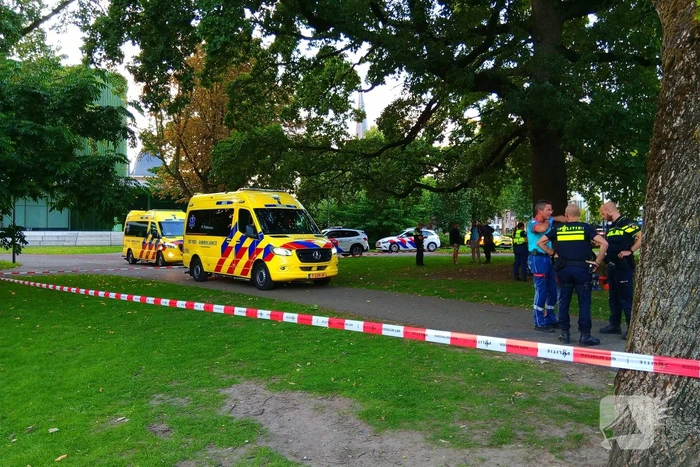 nieuws musislaan arnhem