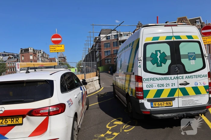 Honden gered uit woningbrand