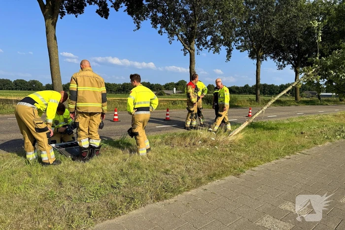 Auto raakt boom en belandt in sloot