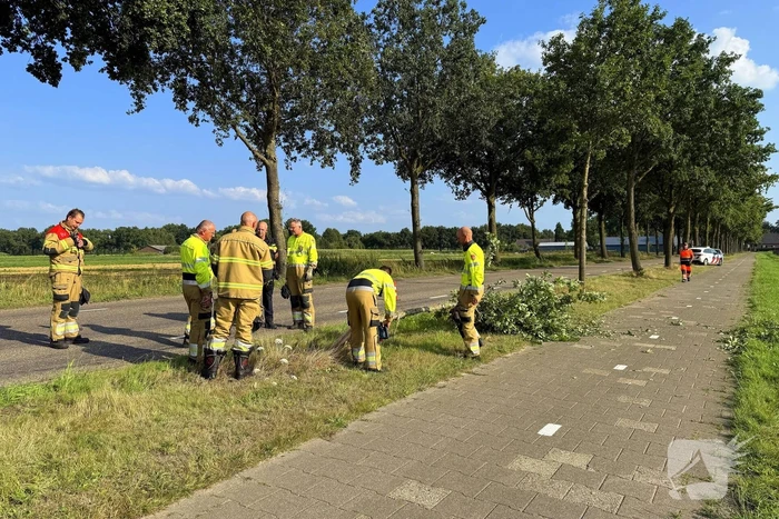 Auto raakt boom en belandt in sloot