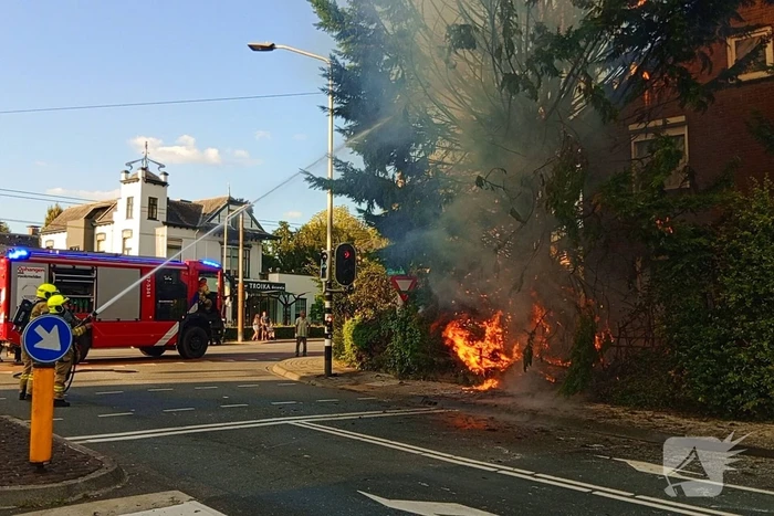 Flinke vlammen bij brand in conifeer