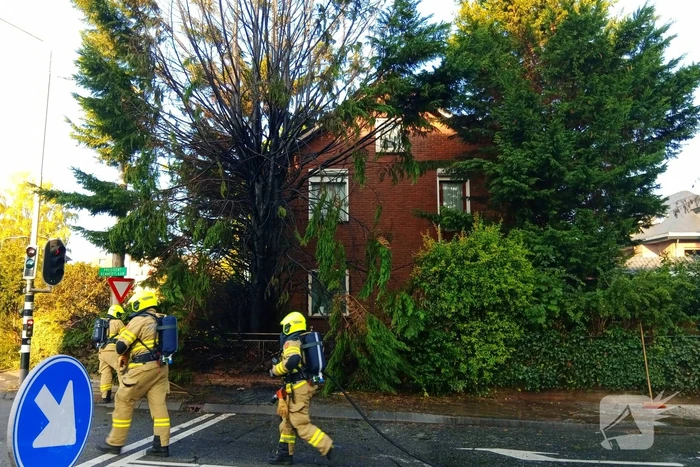Flinke vlammen bij brand in conifeer