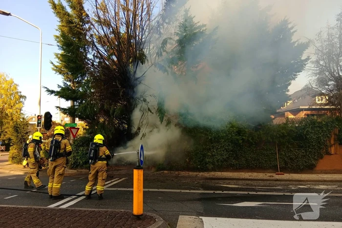 Flinke vlammen bij brand in conifeer