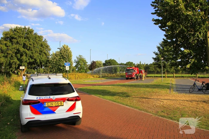Brand in berm leidt tot rookontwikkeling