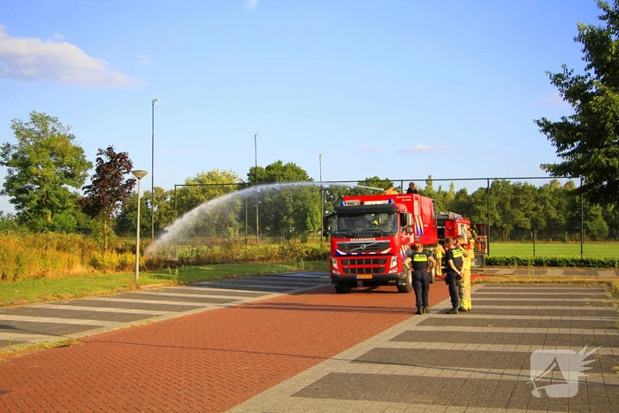 Brand in berm leidt tot rookontwikkeling