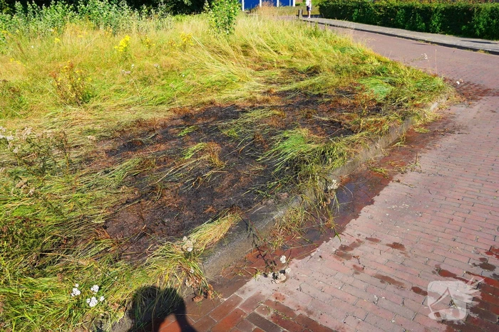 Brandweerinzet bij grasbrand