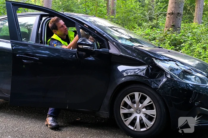Fietser gewond bij botsing, politie verricht onderzoek
