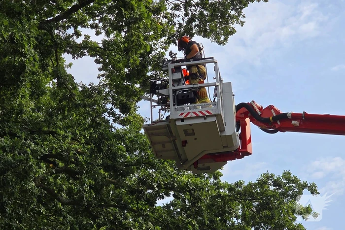 Brandweer verwijdert gevaarlijk hangende takken boven buurtmoestuin moestuin