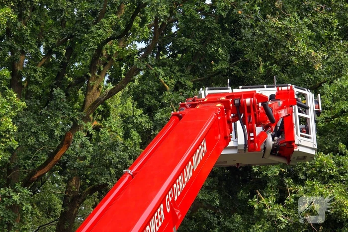 Brandweer verwijdert gevaarlijk hangende takken boven buurtmoestuin moestuin