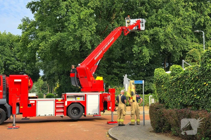 Brandweer verwijdert gevaarlijk hangende takken boven buurtmoestuin moestuin