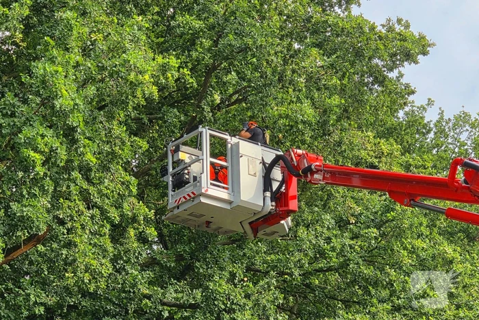 Brandweer verwijdert gevaarlijk hangende takken boven buurtmoestuin moestuin