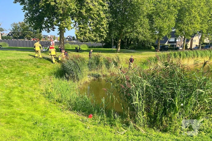 Reiger bevrijdt uit visdraad