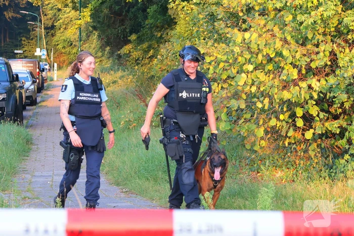 Grootschalige zoekactie met speurhond
