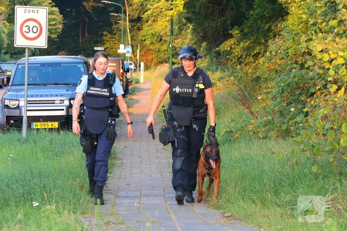Grootschalige zoekactie met speurhond