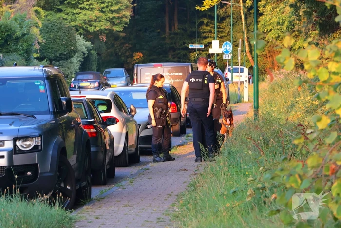 Grootschalige zoekactie met speurhond