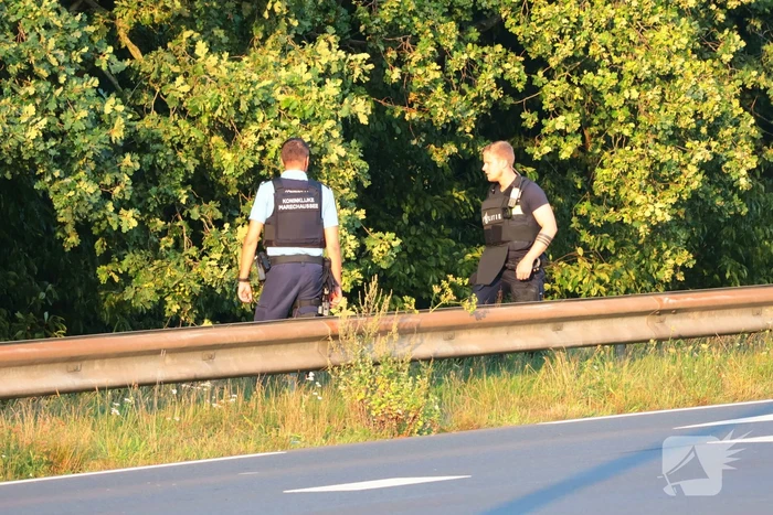 Grootschalige zoekactie met speurhond