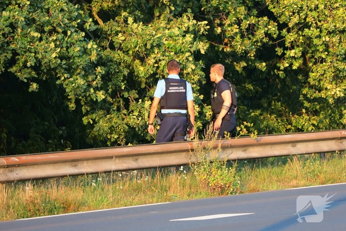 Grootschalige zoekactie met speurhond