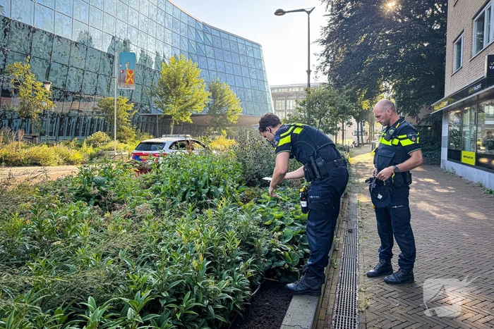 Groot slagersmes aangetroffen