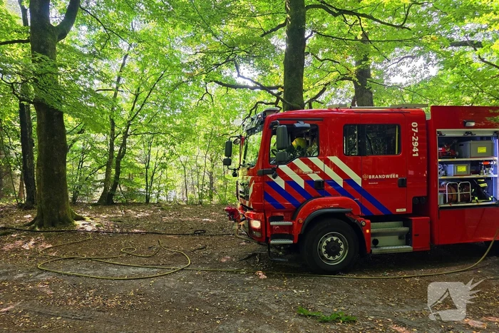 Brandweer snel in actie bij natuurbrand