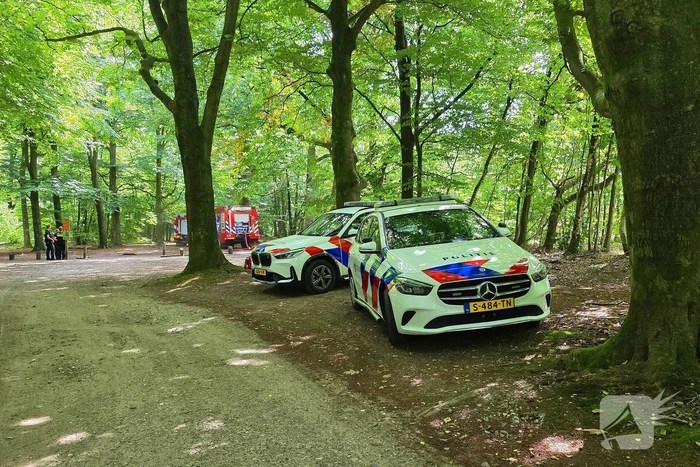Brandweer snel in actie bij natuurbrand