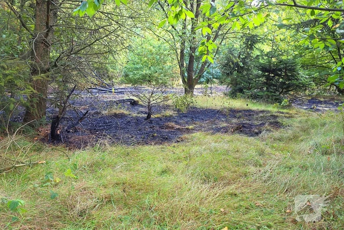 Brandweer snel in actie bij natuurbrand